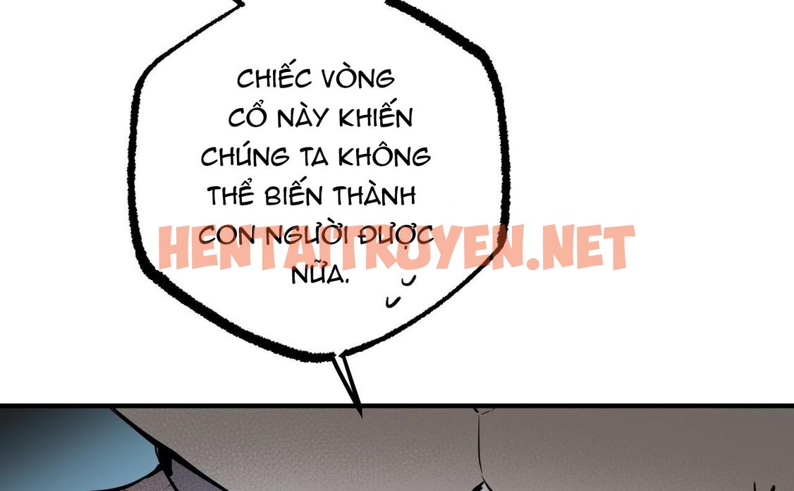 Xem ảnh Những Chú Thỏ Của Hapypy - Chap 46 - img_149_1661009912 - HentaiTruyen.net