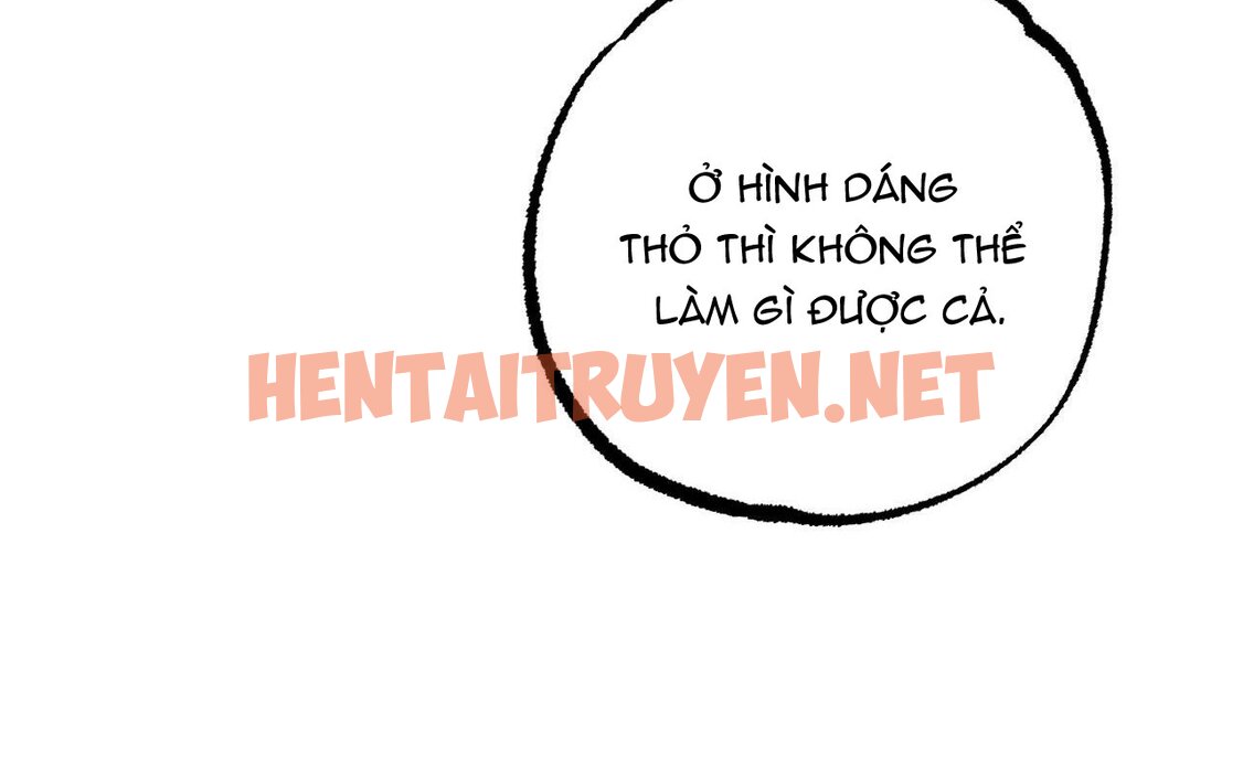 Xem ảnh Những Chú Thỏ Của Hapypy - Chap 46 - img_151_1661009917 - HentaiTruyenVN.net