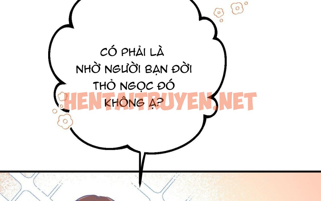 Xem ảnh Những Chú Thỏ Của Hapypy - Chap 46 - img_178_1661009971 - HentaiTruyenVN.net