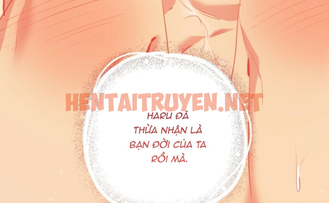 Xem ảnh Những Chú Thỏ Của Hapypy - Chap 46 - img_252_1661010137 - HentaiTruyenVN.net