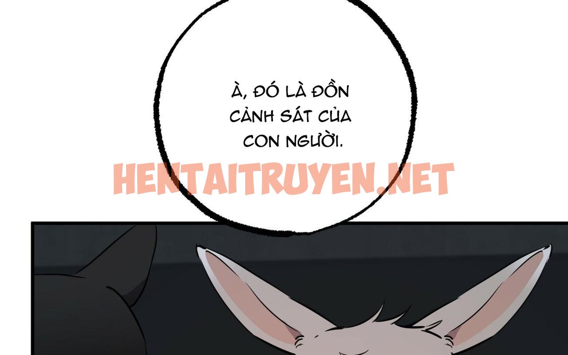 Xem ảnh Những Chú Thỏ Của Hapypy - Chap 46 - img_269_1661010171 - TruyenVN.APP