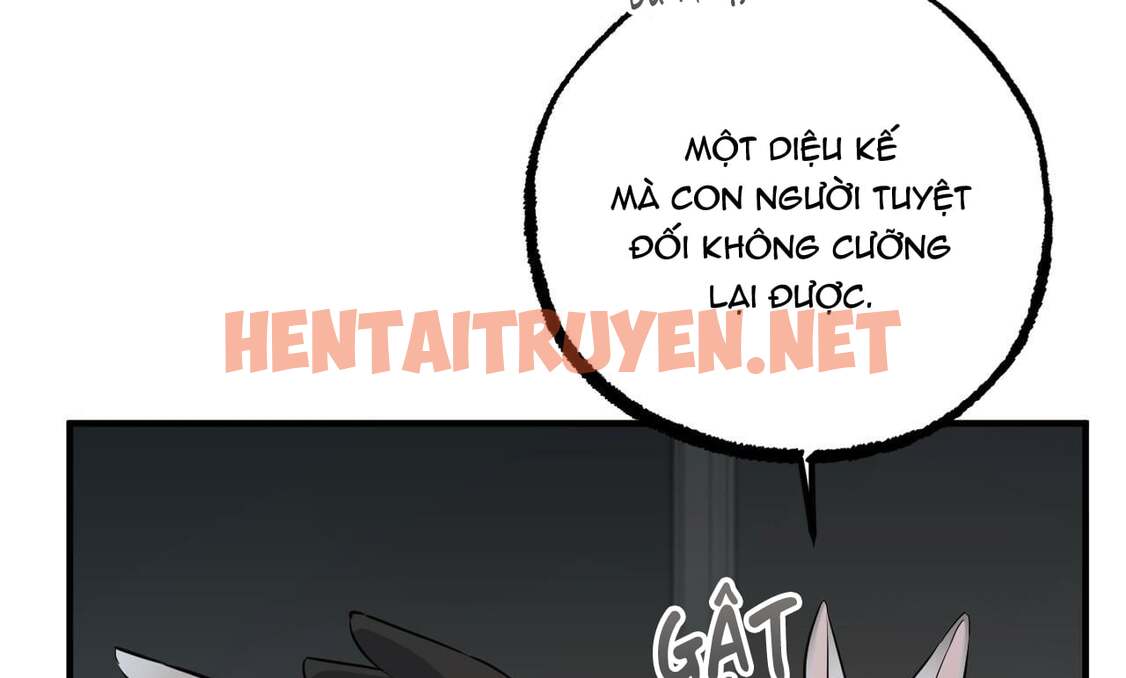 Xem ảnh Những Chú Thỏ Của Hapypy - Chap 47 - img_007_1661620568 - HentaiTruyen.net