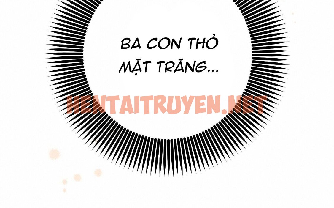 Xem ảnh Những Chú Thỏ Của Hapypy - Chap 47 - img_169_1661620929 - TruyenVN.APP