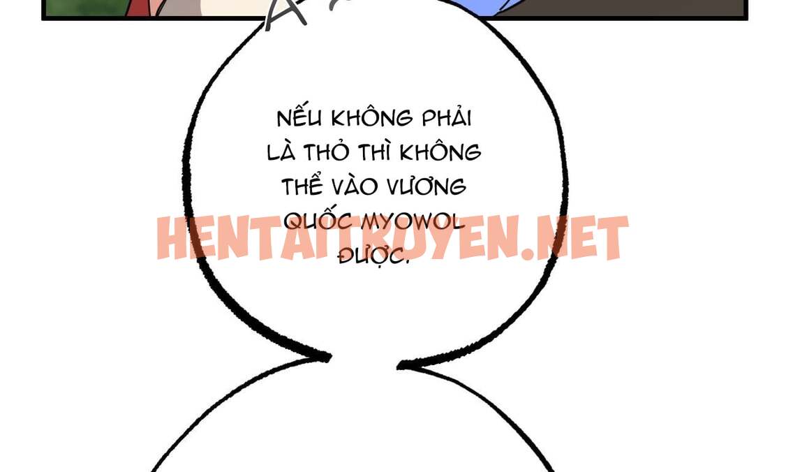 Xem ảnh Những Chú Thỏ Của Hapypy - Chap 48 - img_198_1662341194 - TruyenVN.APP