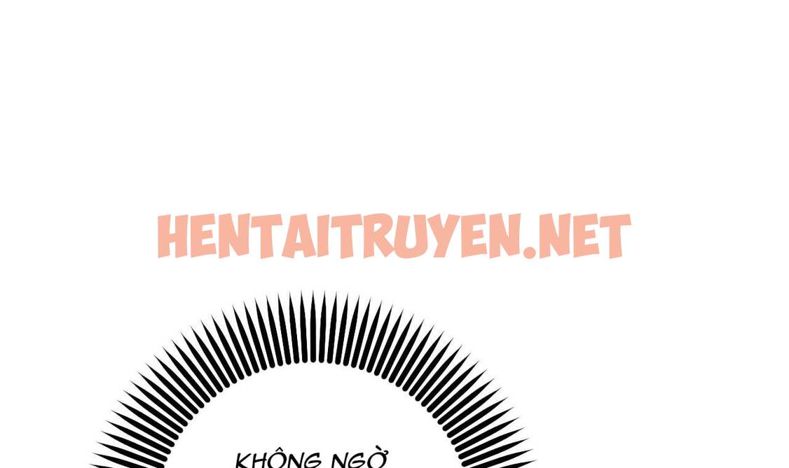 Xem ảnh Những Chú Thỏ Của Hapypy - Chap 49 - img_038_1662893410 - TruyenVN.APP