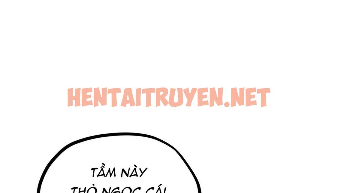 Xem ảnh Những Chú Thỏ Của Hapypy - Chap 5 - img_241_1638295956 - TruyenVN.APP