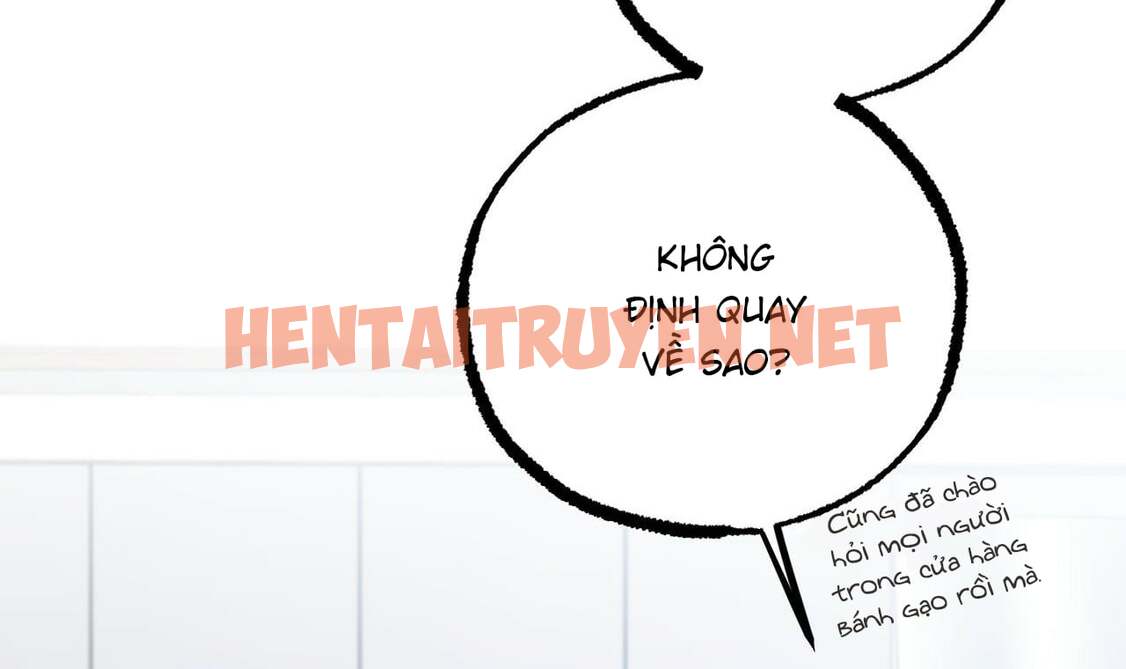 Xem ảnh Những Chú Thỏ Của Hapypy - Chap 51 - img_144_1664036877 - TruyenVN.APP