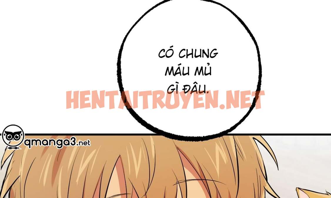 Xem ảnh Những Chú Thỏ Của Hapypy - Chap 51 - img_183_1664036958 - TruyenVN.APP