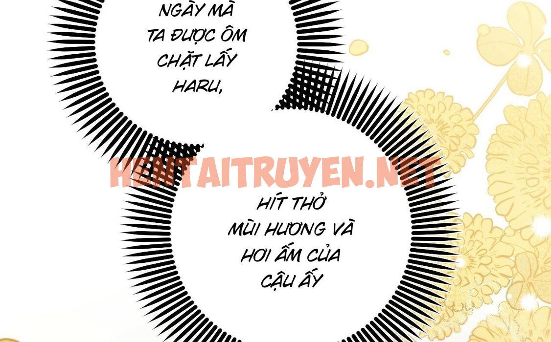 Xem ảnh Những Chú Thỏ Của Hapypy - Chap 52 - img_031_1664731391 - TruyenVN.APP