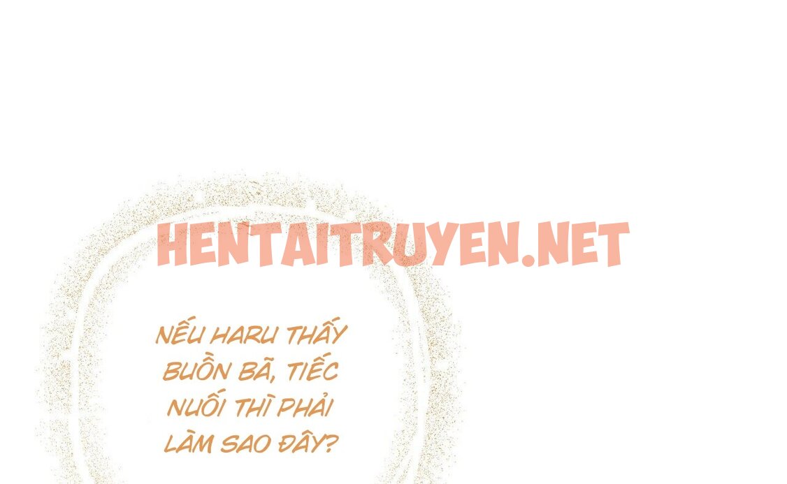 Xem ảnh Những Chú Thỏ Của Hapypy - Chap 52 - img_109_1664731535 - TruyenVN.APP