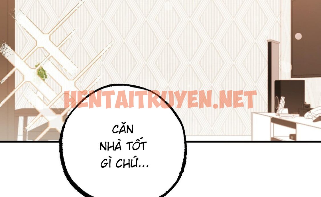 Xem ảnh Những Chú Thỏ Của Hapypy - Chap 52 - img_144_1664731599 - TruyenVN.APP