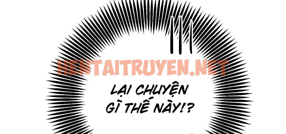 Xem ảnh Những Chú Thỏ Của Hapypy - Chap 52 - img_288_1664731866 - TruyenVN.APP