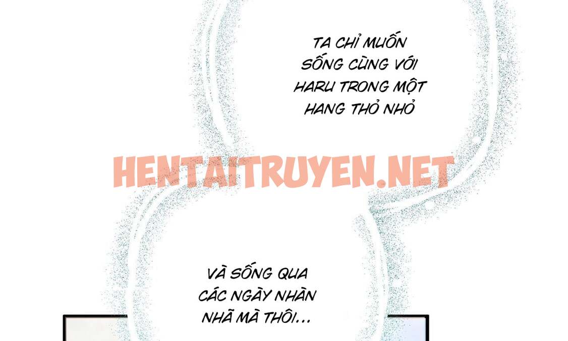 Xem ảnh Những Chú Thỏ Của Hapypy - Chap 53 - img_079_1665245824 - HentaiTruyenVN.net