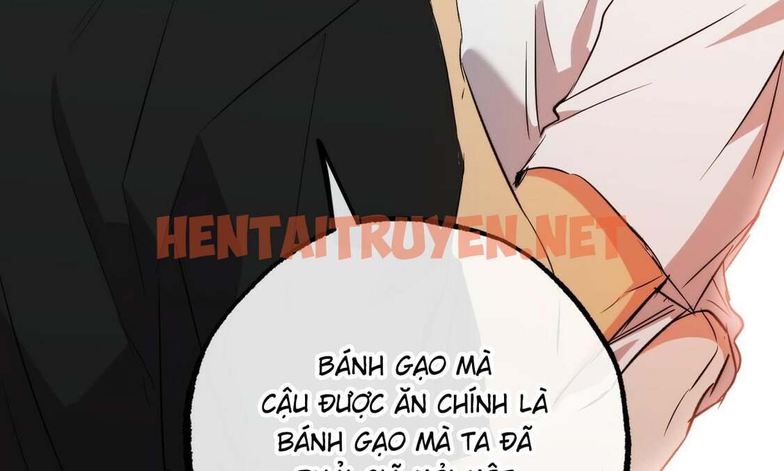 Xem ảnh Những Chú Thỏ Của Hapypy - Chap 53 - img_264_1665246195 - HentaiTruyen.net