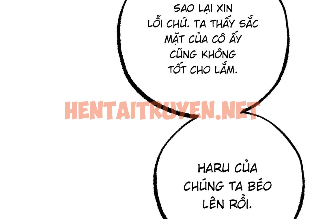 Xem ảnh Những Chú Thỏ Của Hapypy - Chap 57 - img_125_1668440436 - HentaiTruyen.net