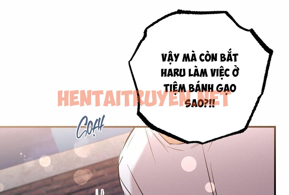 Xem ảnh Những Chú Thỏ Của Hapypy - Chap 58 - img_120_1668875528 - HentaiTruyen.net