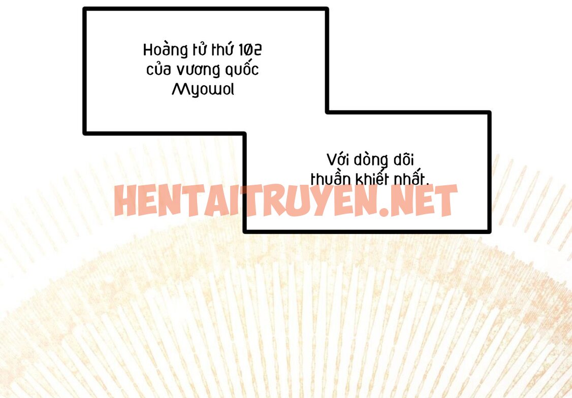 Xem ảnh Những Chú Thỏ Của Hapypy - Chap 59 - img_017_1669624507 - HentaiTruyen.net