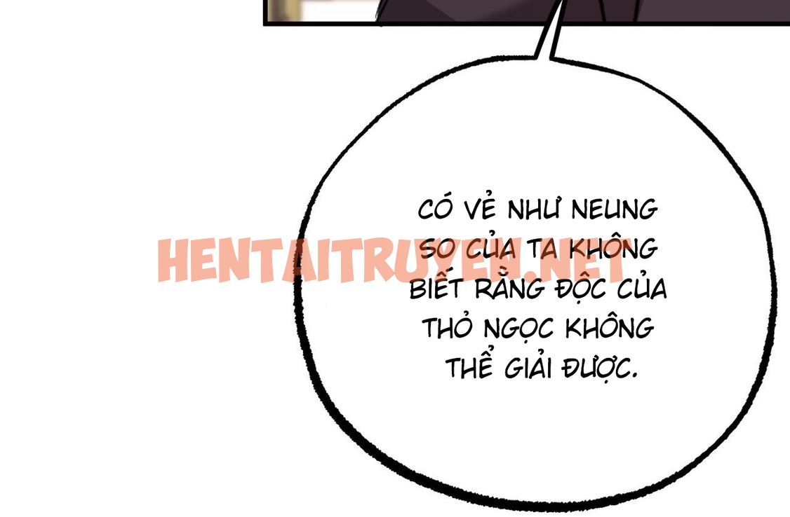 Xem ảnh Những Chú Thỏ Của Hapypy - Chap 62 - img_073_1671291583 - HentaiTruyen.net