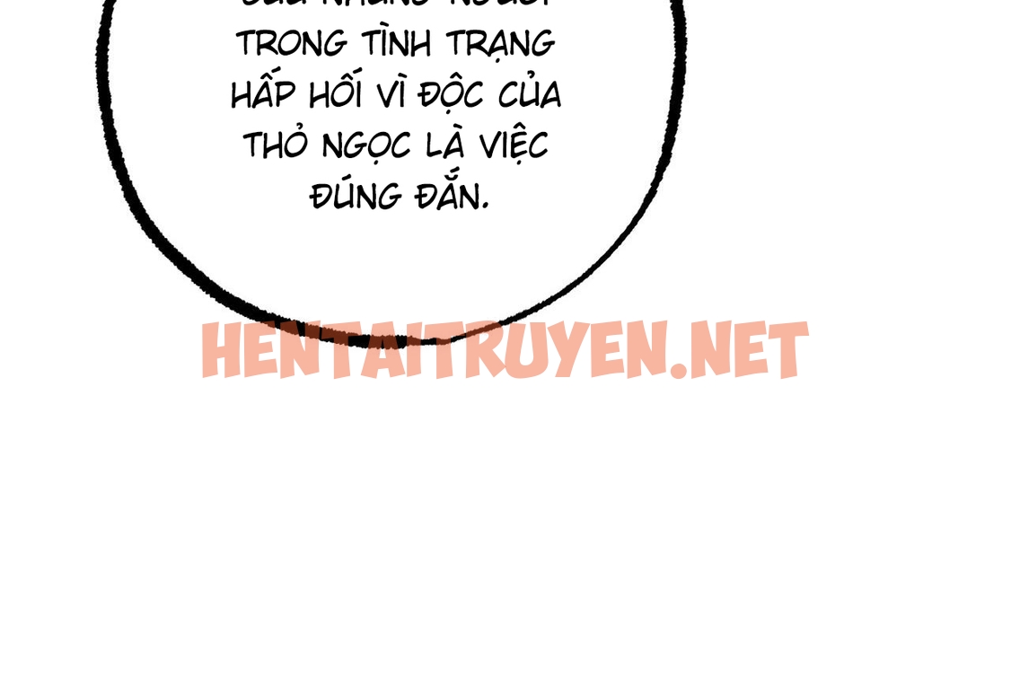 Xem ảnh Những Chú Thỏ Của Hapypy - Chap 62 - img_132_1671291725 - HentaiTruyenVN.net