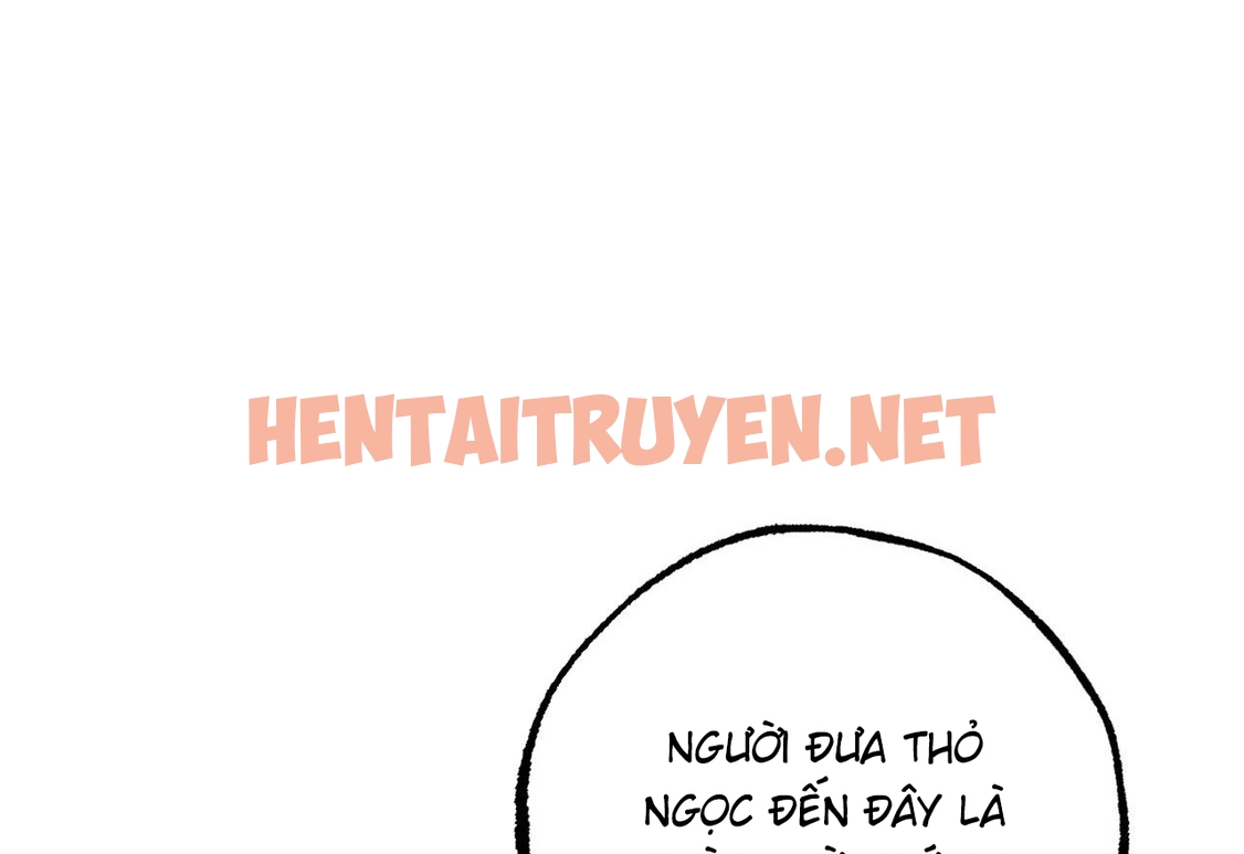 Xem ảnh Những Chú Thỏ Của Hapypy - Chap 62 - img_158_1671291785 - TruyenVN.APP