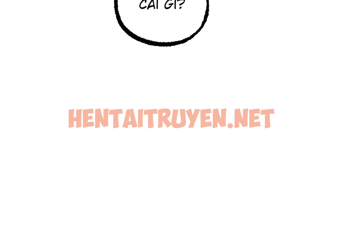 Xem ảnh Những Chú Thỏ Của Hapypy - Chap 62 - img_208_1671291919 - TruyenVN.APP