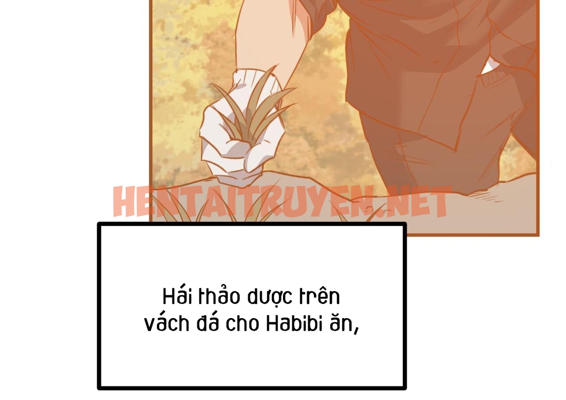 Xem ảnh Những Chú Thỏ Của Hapypy - Chap 63 - img_131_1672505657 - TruyenVN.APP