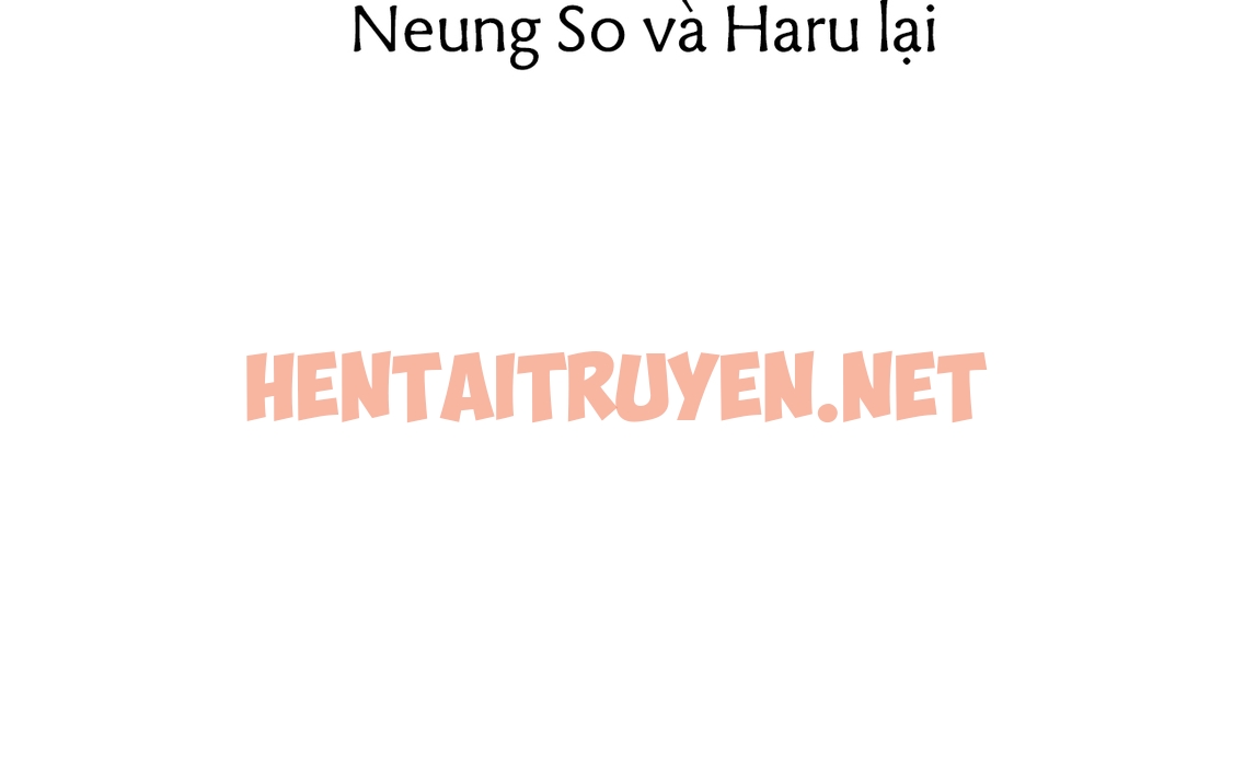 Xem ảnh Những Chú Thỏ Của Hapypy - Chap 63 - img_255_1672505947 - HentaiTruyen.net