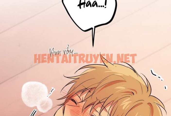 Xem ảnh Những Chú Thỏ Của Hapypy - Chap 64 - img_014_1672654738 - TruyenVN.APP