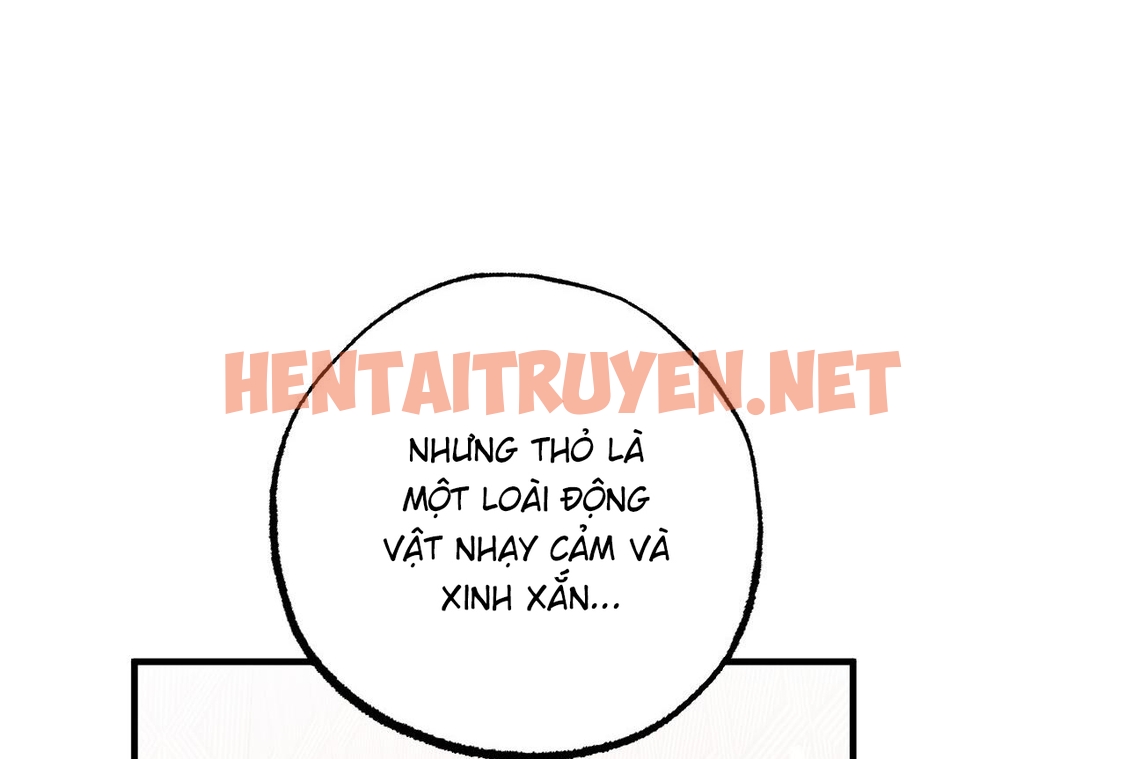 Xem ảnh Những Chú Thỏ Của Hapypy - Chap 65 - img_035_1673102236 - HentaiTruyen.net