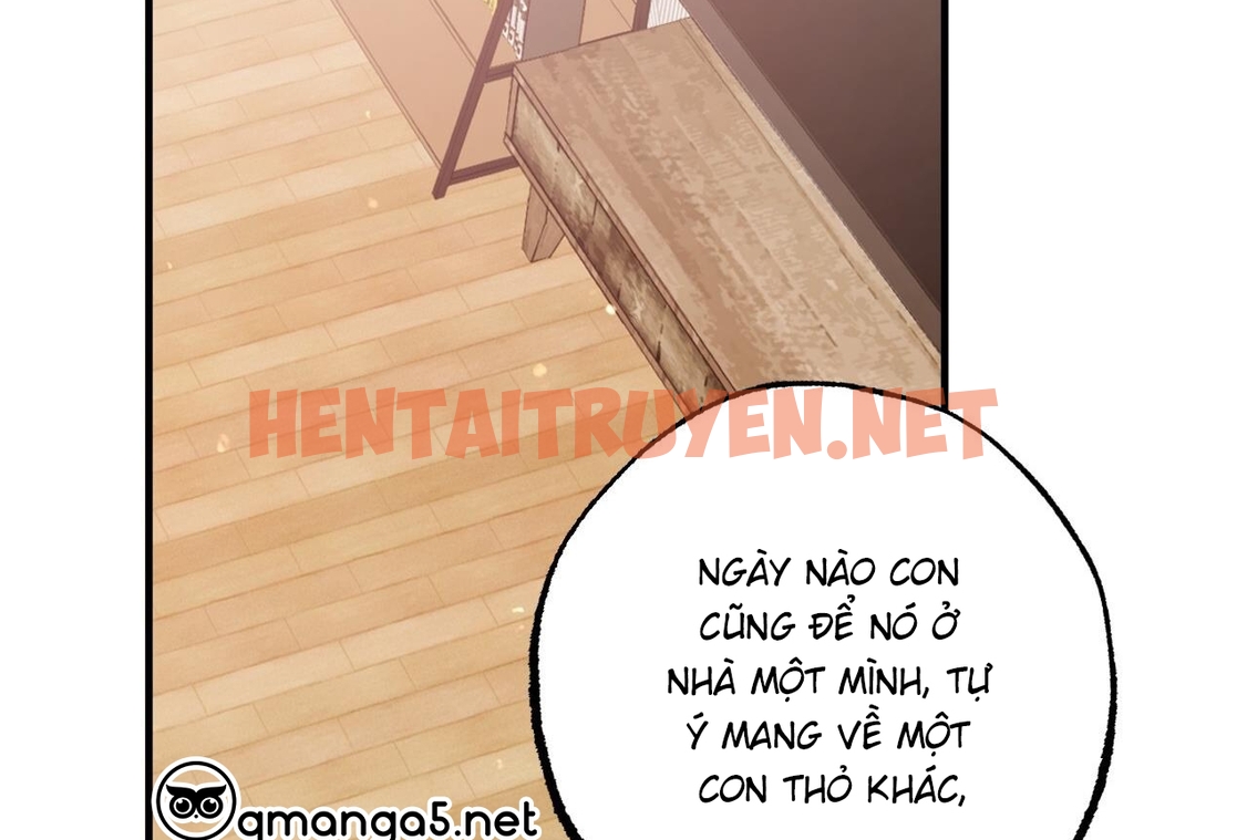 Xem ảnh Những Chú Thỏ Của Hapypy - Chap 65 - img_037_1673102242 - TruyenVN.APP