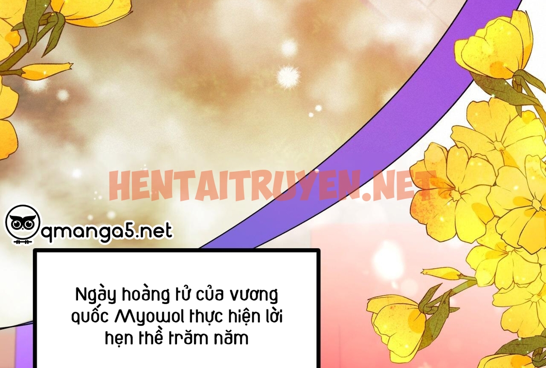 Xem ảnh Những Chú Thỏ Của Hapypy - Chap 65 - img_121_1673102438 - HentaiTruyen.net