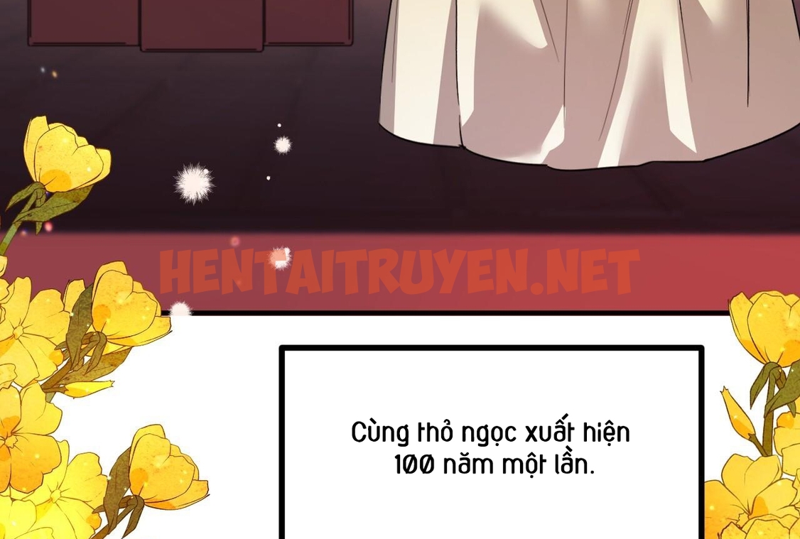 Xem ảnh Những Chú Thỏ Của Hapypy - Chap 65 - img_124_1673102446 - HentaiTruyenVN.net