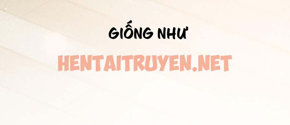 Xem ảnh Những Chú Thỏ Của Hapypy - Chap 7 - img_331_1638383024 - TruyenVN.APP