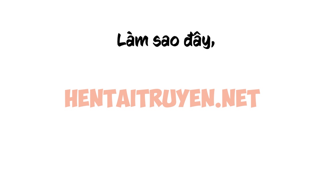 Xem ảnh Những Chú Thỏ Của Hapypy - Chap 8 - img_008_1638382020 - HentaiTruyen.net