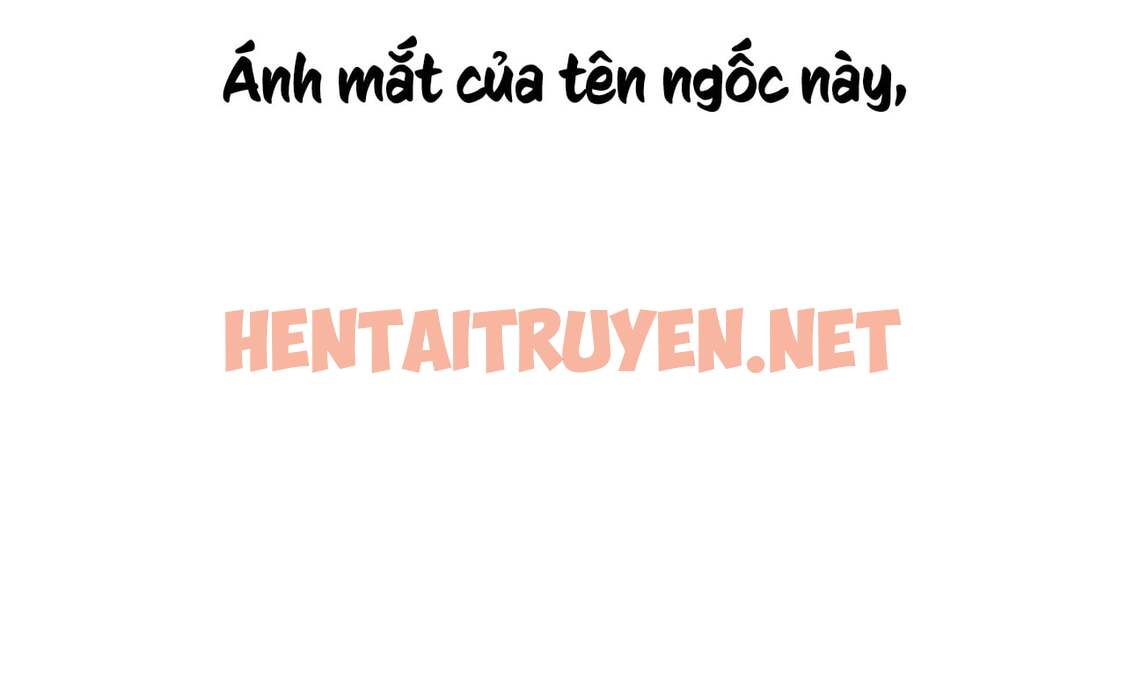 Xem ảnh Những Chú Thỏ Của Hapypy - Chap 8 - img_012_1638382025 - HentaiTruyen.net