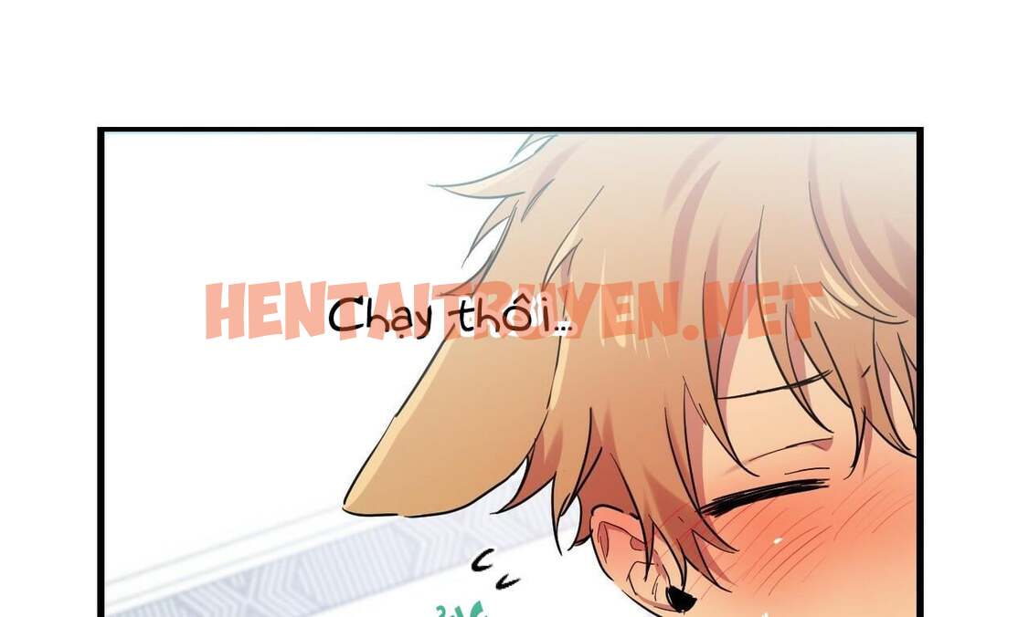 Xem ảnh Những Chú Thỏ Của Hapypy - Chap 8 - img_118_1638382178 - TruyenVN.APP