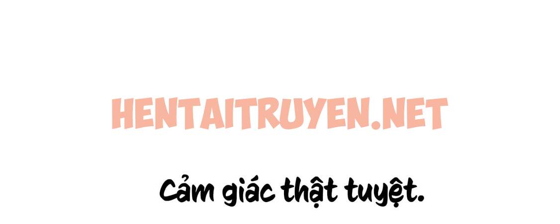 Xem ảnh Những Chú Thỏ Của Hapypy - Chap 8 - img_189_1638382292 - TruyenVN.APP