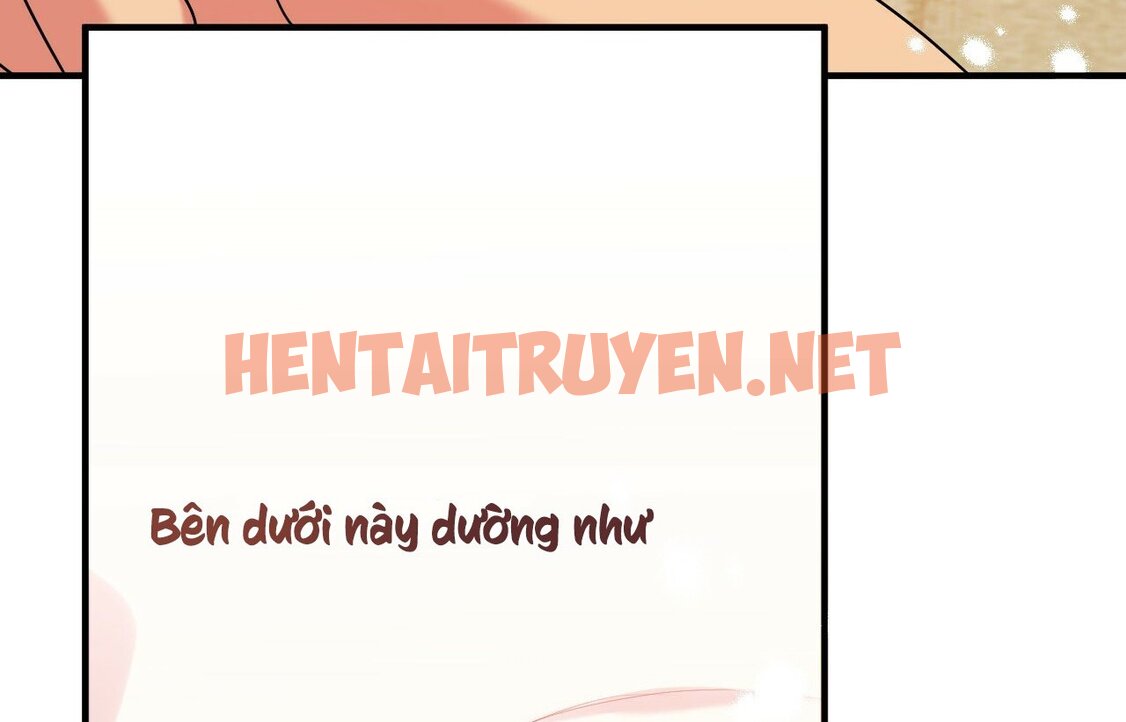 Xem ảnh Những Chú Thỏ Của Hapypy - Chap 9 - img_198_1638797893 - HentaiTruyenVN.net