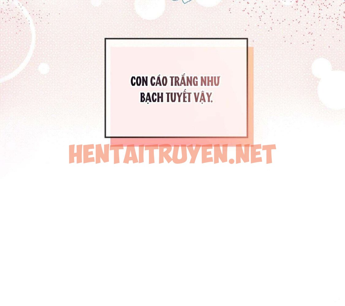 Xem ảnh Nước Uống Tình Yêu Của Cáo Plin - Chap 4 - img_082_1708312987 - HentaiTruyenVN.net