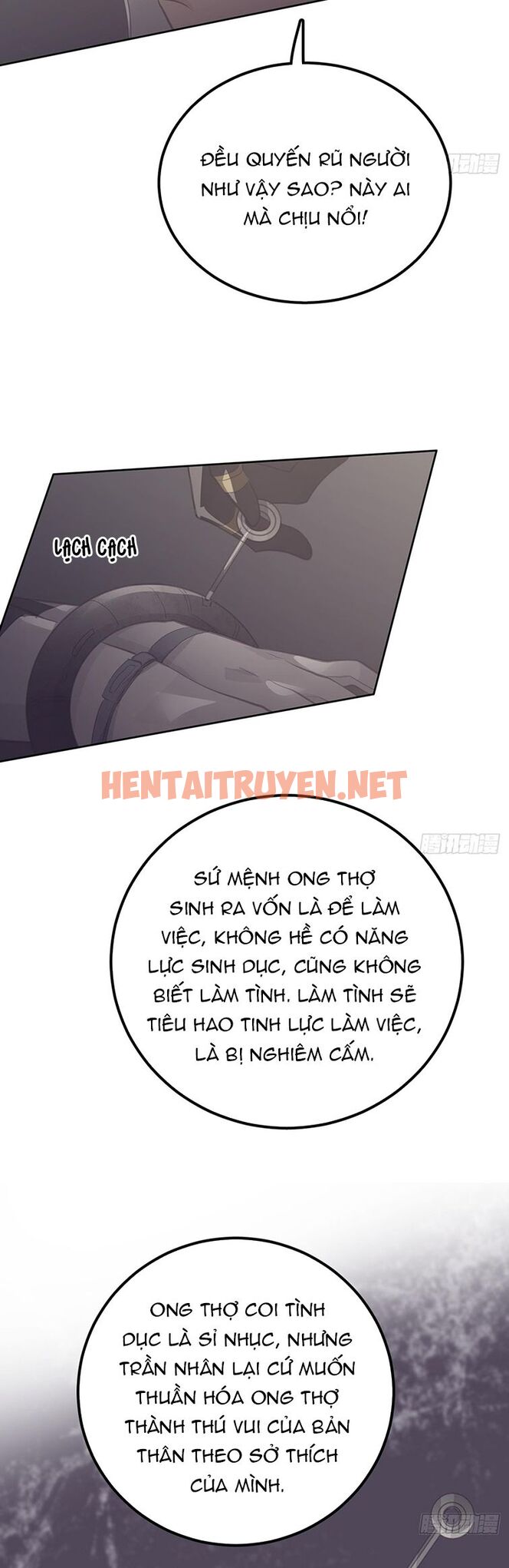 Xem ảnh Ong Thợ - Chap 20 - img_009_1690117118 - TruyenVN.APP