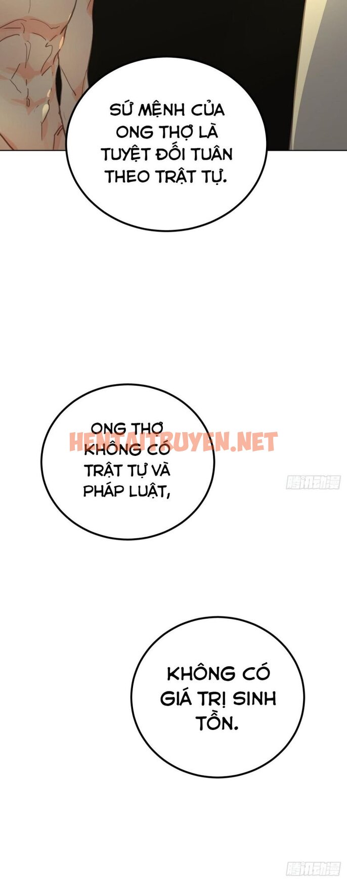 Xem ảnh Ong Thợ - Chap 3 - img_057_1680621155 - TruyenVN.APP