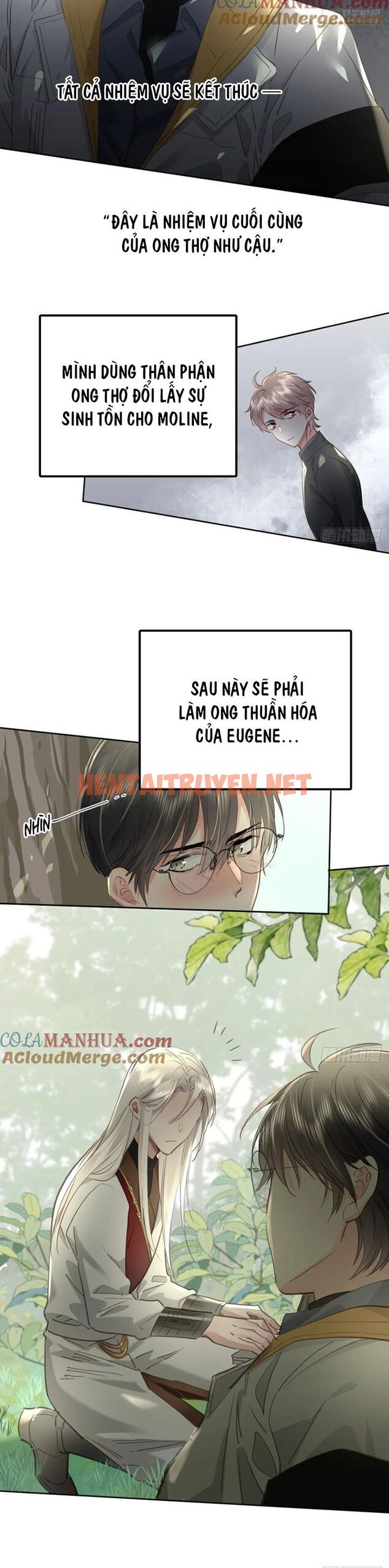 Xem ảnh Ong Thợ - Chap 41 - img_012_1705746935 - TruyenVN.APP