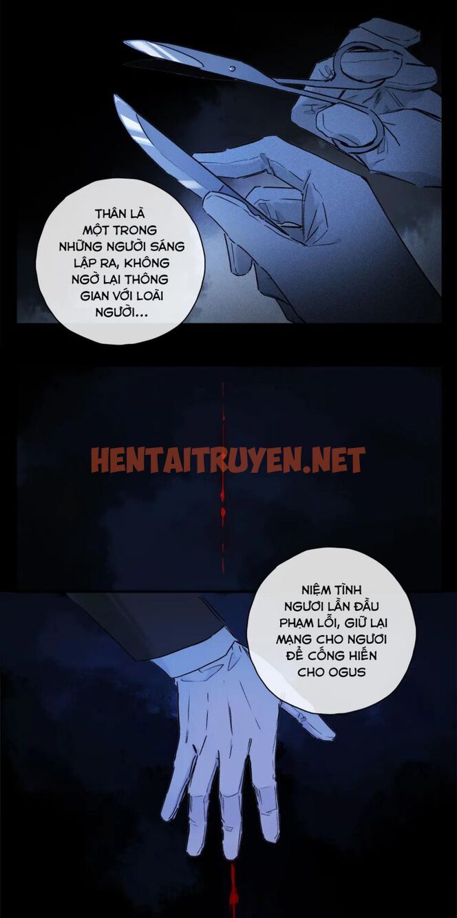 Xem ảnh Phép Tắc Trường Ogus (Phần 2) - Chap 58 - img_041_1646060980 - TruyenVN.APP