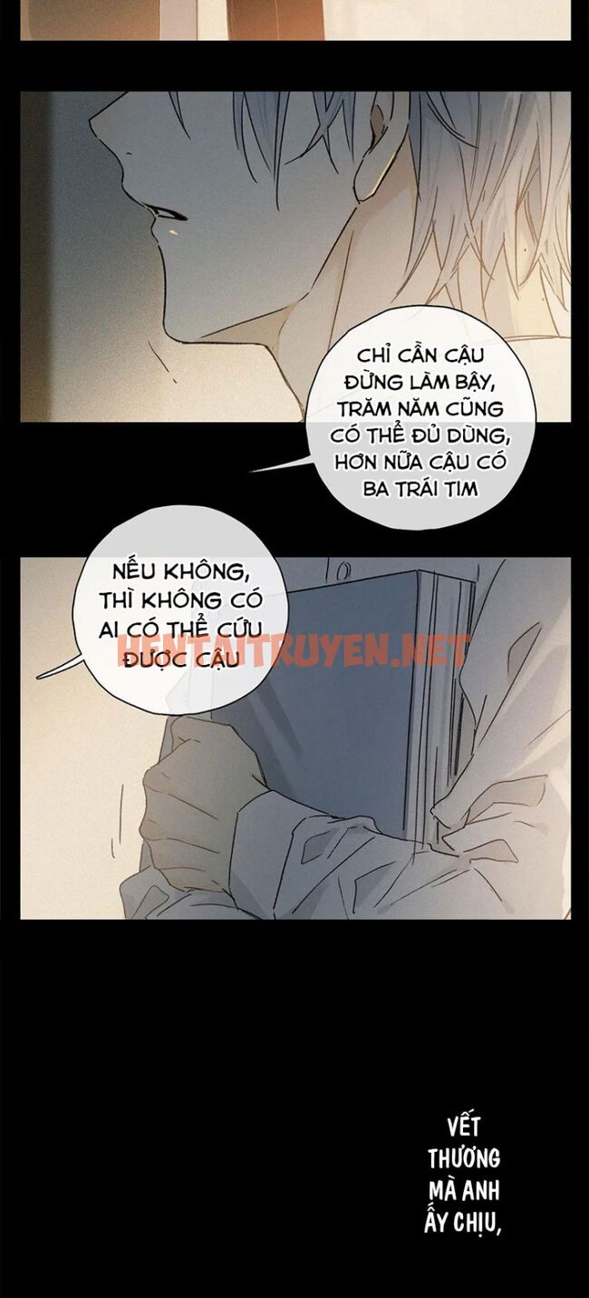 Xem ảnh Phép Tắc Trường Ogus (Phần 2) - Chap 61 - img_031_1646060784 - HentaiTruyen.net