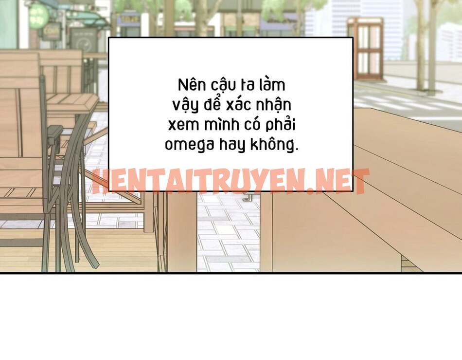 Xem ảnh Phức Cảm Tự Ti Của Omega - Chap 8 - img_004_1650246654 - HentaiTruyenVN.net