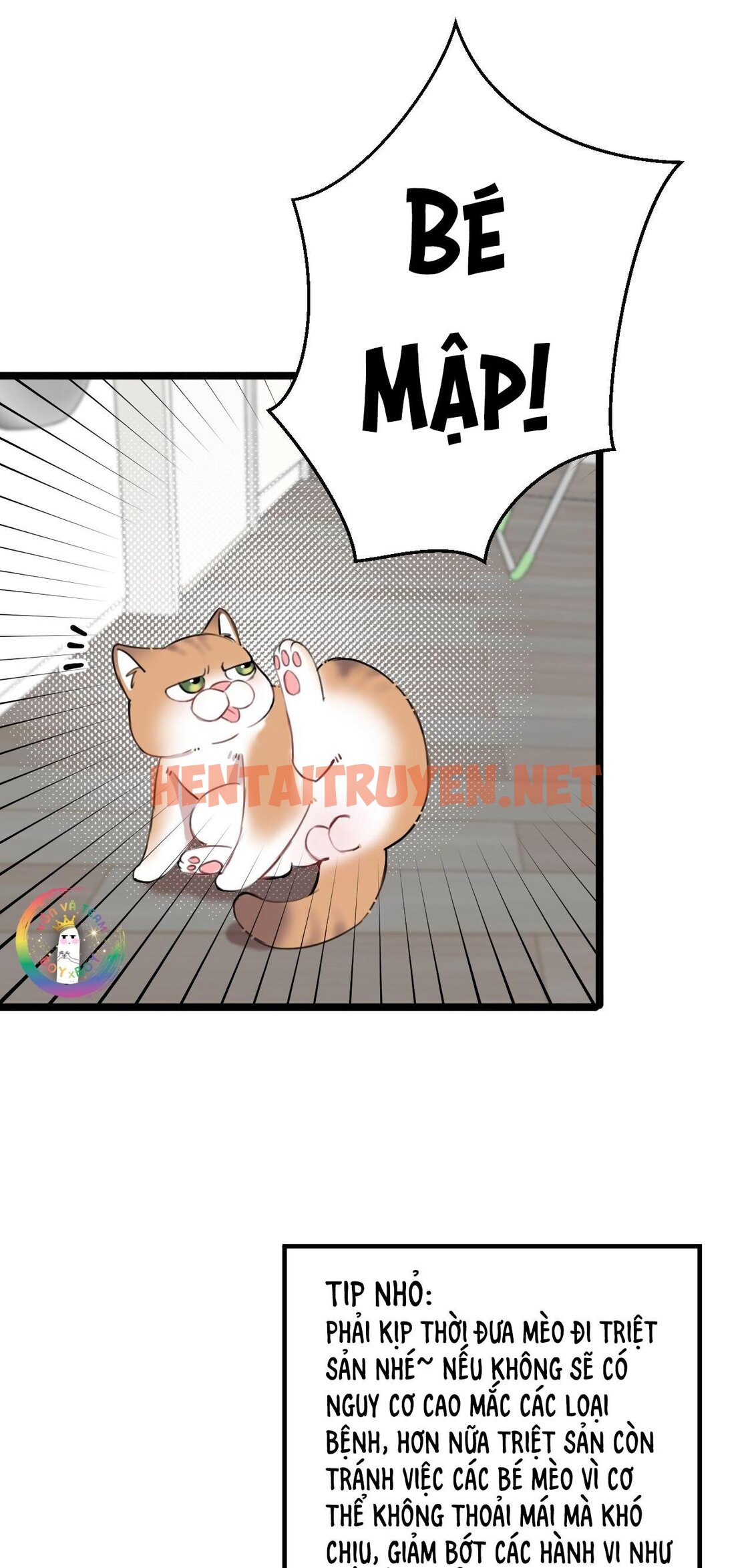 Xem ảnh Rốt Cuộc Mèo Con Đang Nghĩ Gì Thế? - Chap 14 - img_015_1687963637 - HentaiTruyen.net