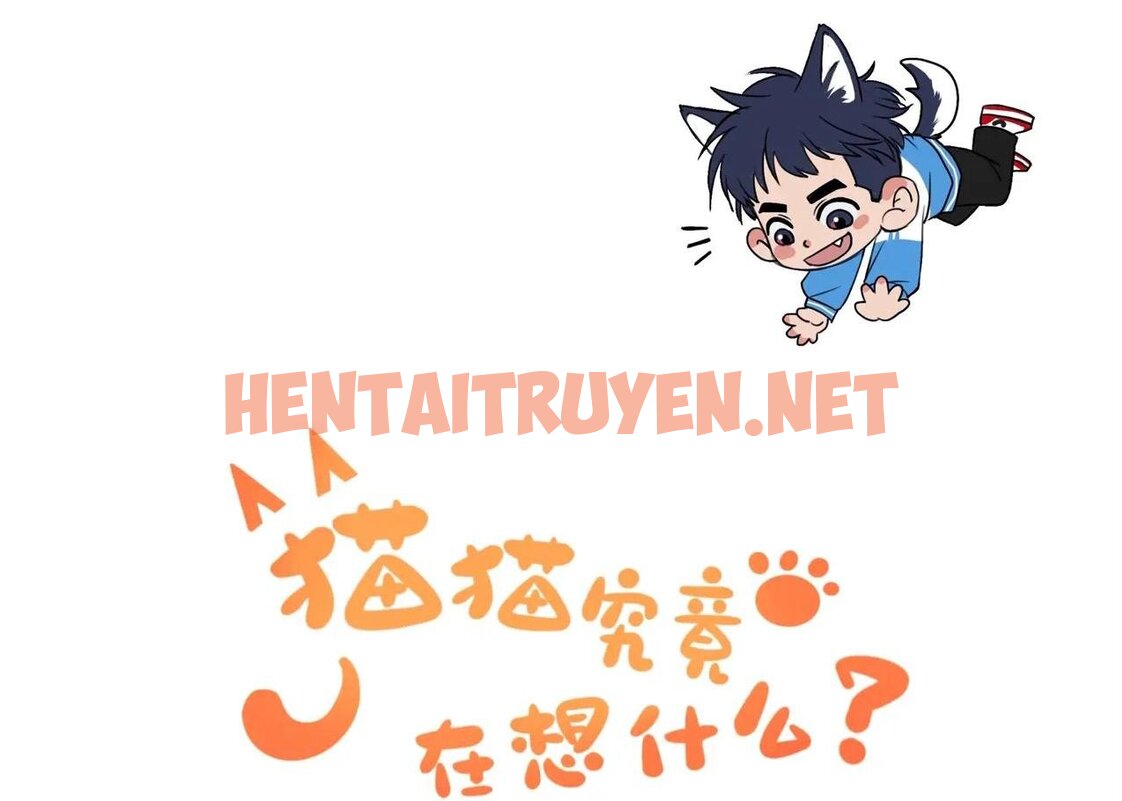 Xem ảnh Rốt Cuộc Mèo Con Đang Nghĩ Gì Thế? - Chap 8 - img_037_1684595169 - HentaiTruyen.net