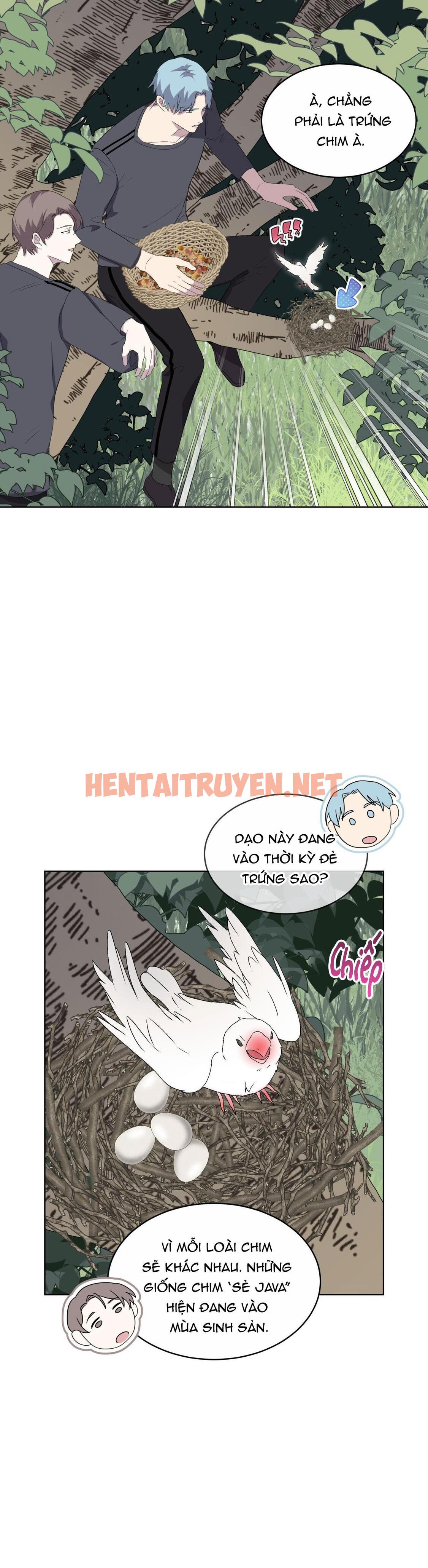 Xem ảnh Rừng Biển - Chap 24 - img_005_1672941977 - TruyenVN.APP