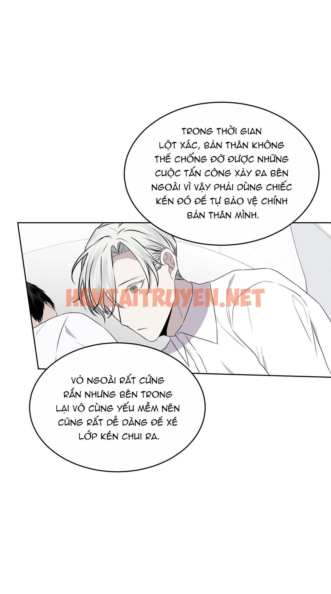 Xem ảnh Rừng Biển - Chap 25 - img_041_1673631361 - TruyenVN.APP