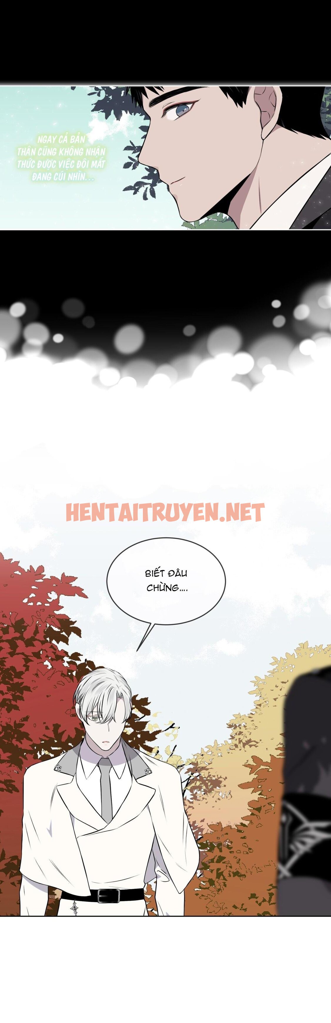 Xem ảnh Rừng Biển - Chap 26 - img_037_1675013770 - TruyenVN.APP